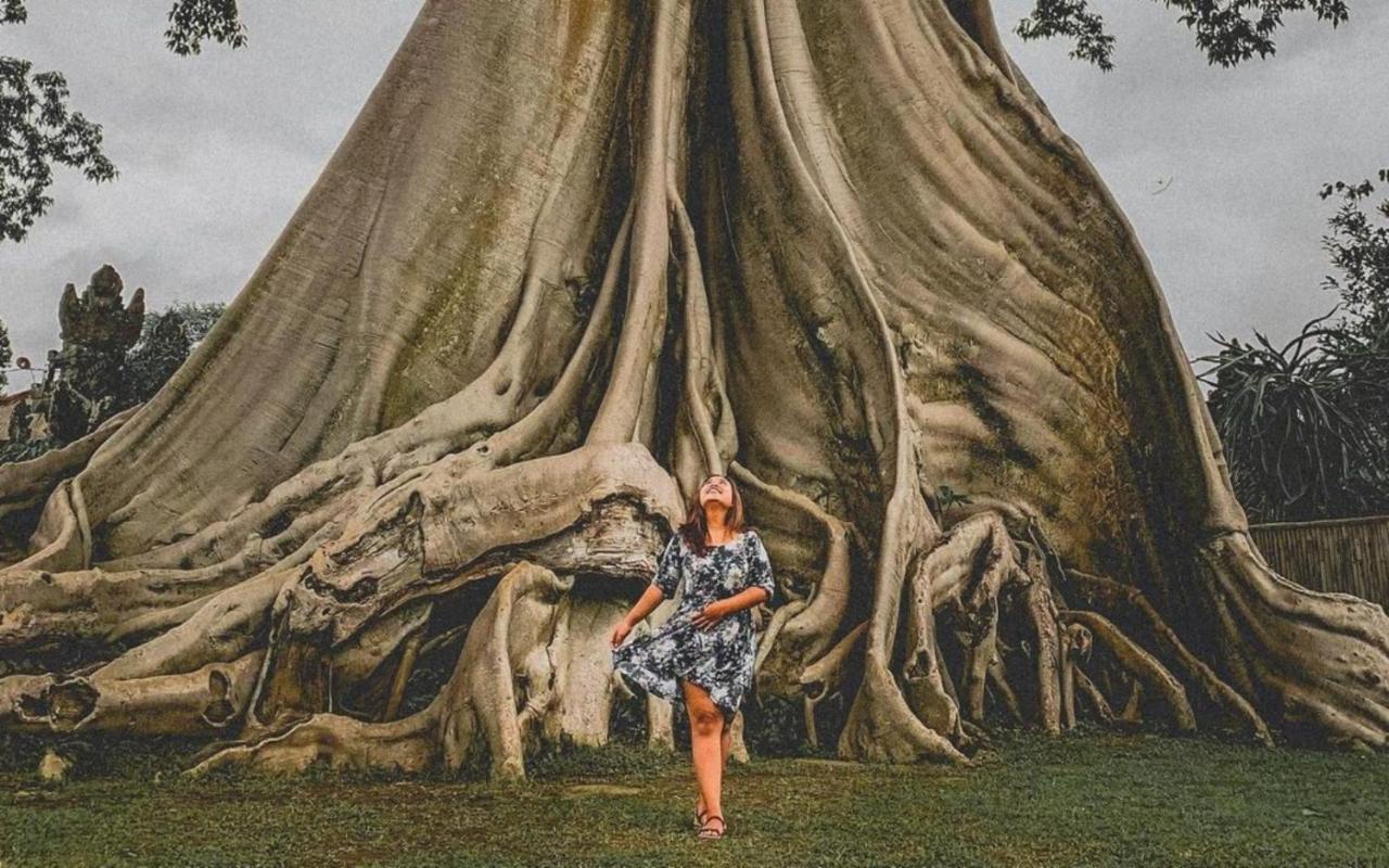 Alam Desa Homestay By Agata Perean Exteriér fotografie